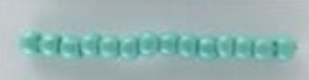 Seed Beads Size 11/0 - Seafoam