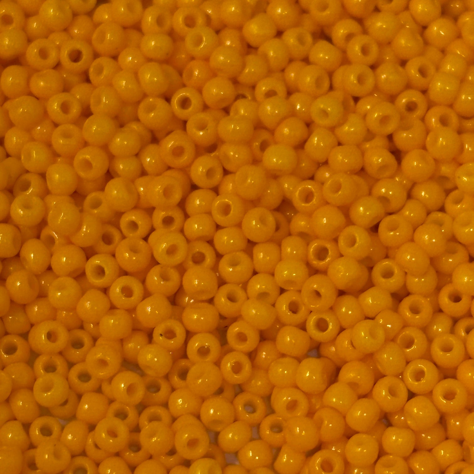 Seed Beads Size 11/0 - Torrid