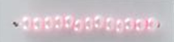 Shell Galvanized Seed Beads Size 11/0 - Pink Pearl